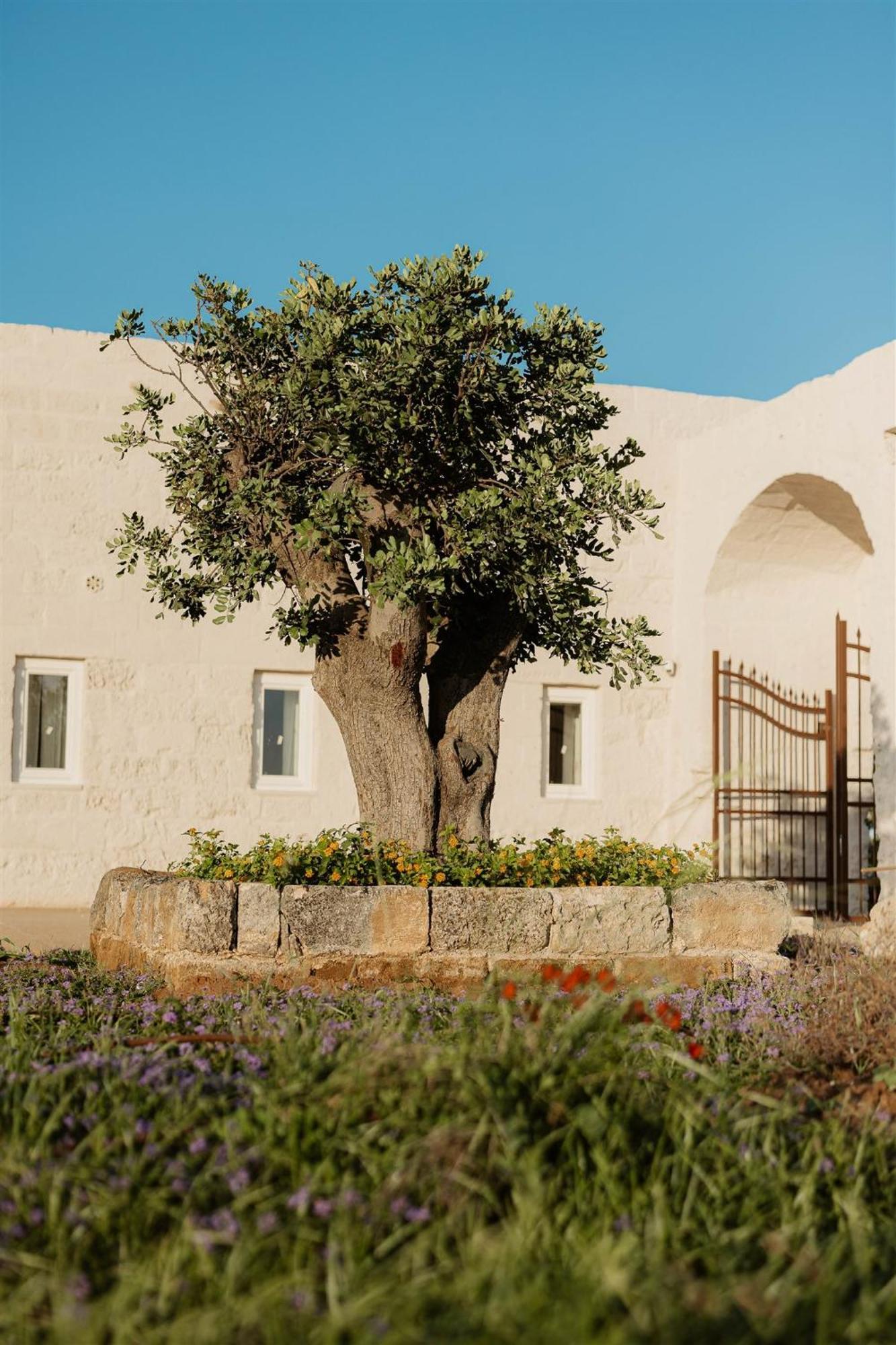 Masseria Vaccaro By Raro Villas - Self Check-In Bríndisi Exterior foto